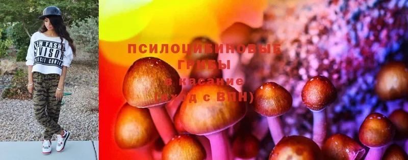 кракен ССЫЛКА  Красноуральск  Псилоцибиновые грибы Magic Shrooms 